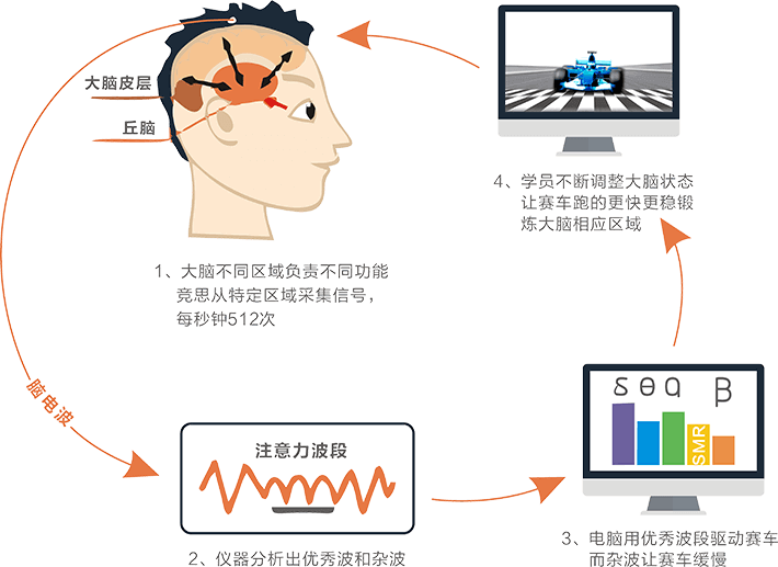 什么是脑电生物反馈